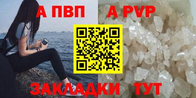 стаф Кинель