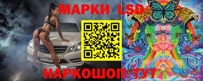 стаф Кинель