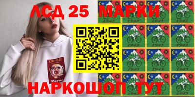 2c-b Камышлов