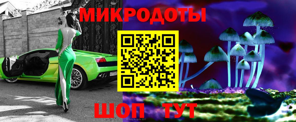 Псилоцибиновые грибы Cubensis Коммунар