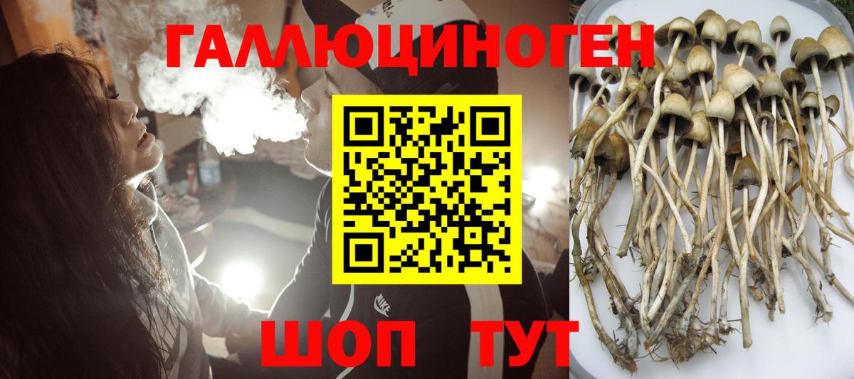 Коммунар  Псилоцибиновые грибы Magic Shrooms  Вход с VPN 